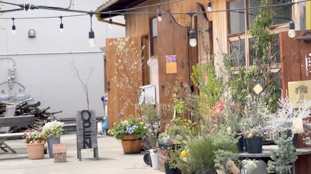 太平ホームのつながる広場2026春マルシェに出店するエンブレイス・オリーブ