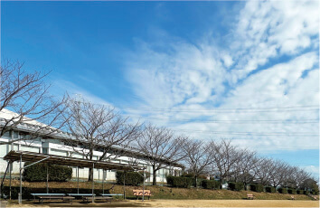 国体記念運動広場